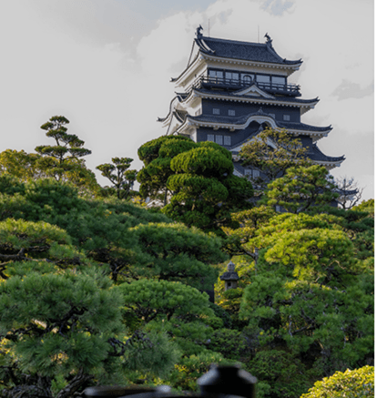 About This Experience