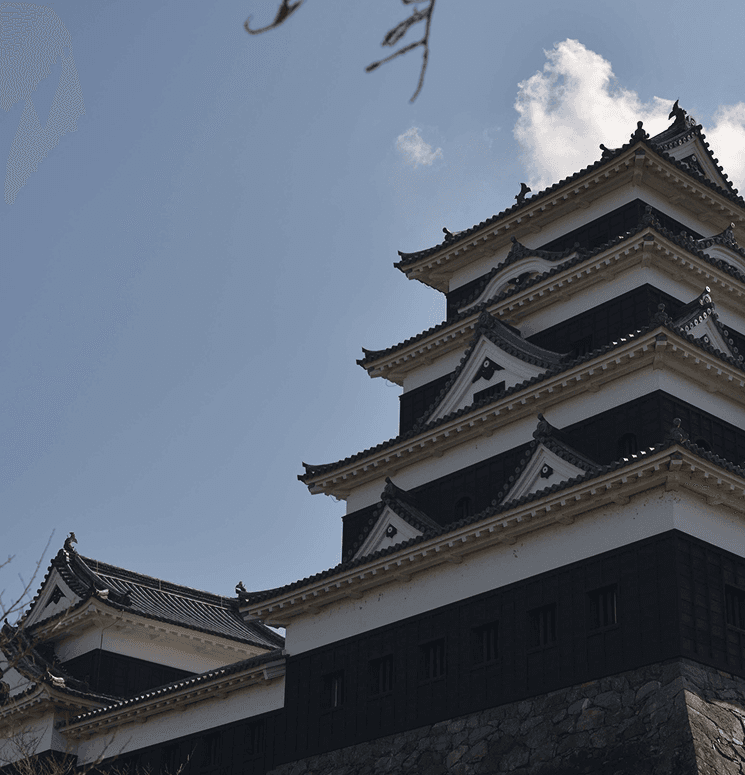 4 Reasons Why Travelers Choose This Journey