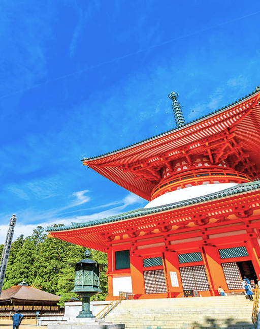 About This Extraordinary Journey