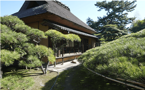 Experience the Kyogoku aesthetic at its finest. 3