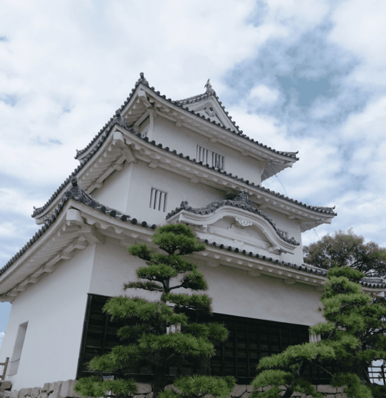 4 Reasons Why Travelers Choose This Journey