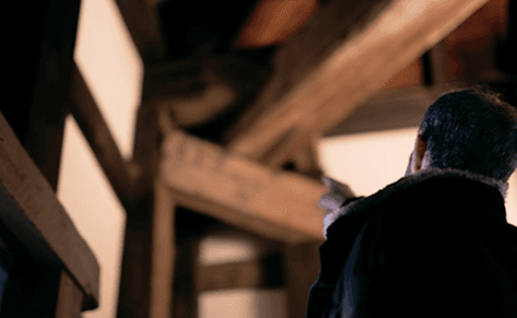 Exclusive Night Tour