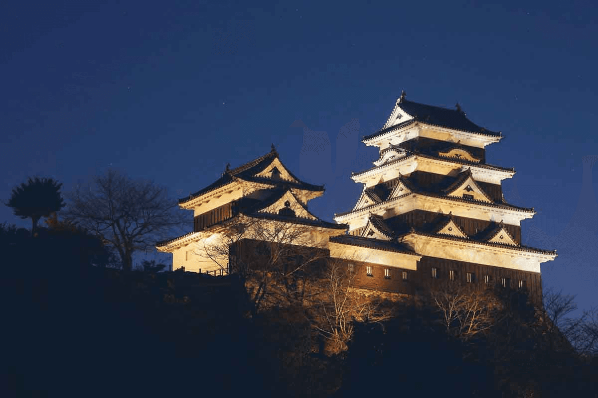 About This Experience