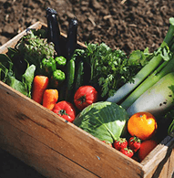 700 Years, Still Standing 5